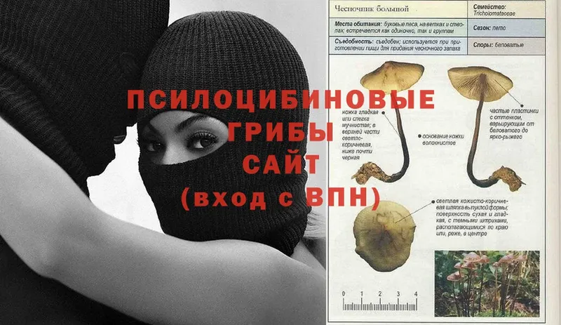 Галлюциногенные грибы прущие грибы  Котовск 